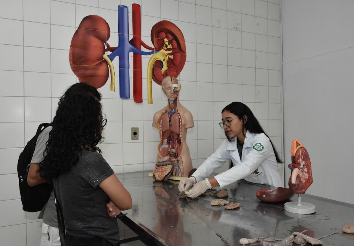 Feira de Anatomia da Escola Superior de Saúde da UEA inicia no dia 28