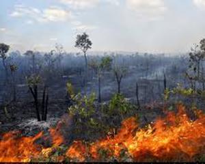 A Amazônia está queimando e Bolsonaro é em grande parte responsável 