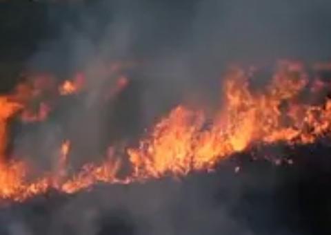 Manifestações em defesa da Amazônia se espalham pelo País