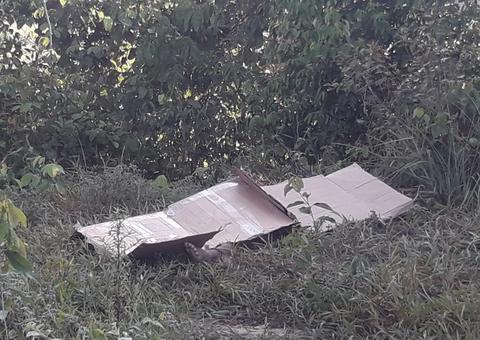 Em Manaus, homem encontrado seminu foi morto com seis tiros no rosto 