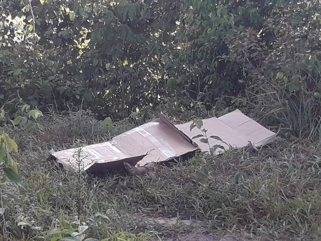 Em Manaus, homem encontrado seminu foi morto com seis tiros no rosto 