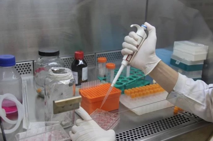 Fiocruz e governo assinam parceria para produção de medicamentos no Amazonas