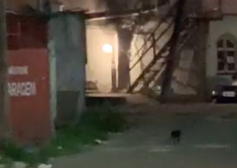 Gatos de rua se aproximam de granada e moradores temem o pior em Manaus 