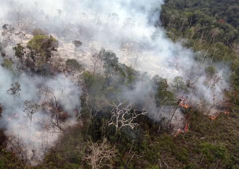Governo envia carta a Bolsonaro pedindo apoio federal no combate às queimadas no Amazonas