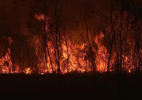Amazonas é o 7º estado a pedir ajuda das Forças Armadas para combater incêndios