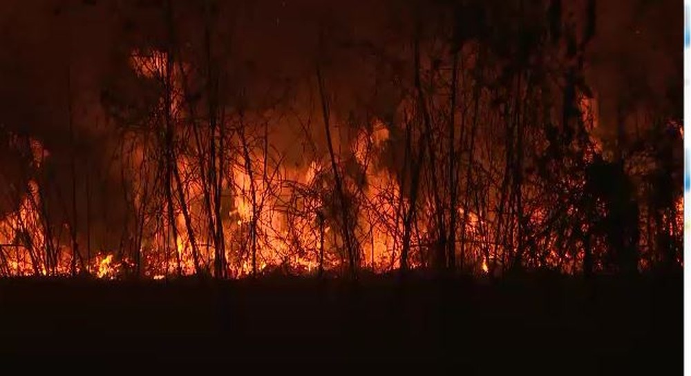Amazonas é o 7º estado a pedir ajuda das Forças Armadas para combater incêndios