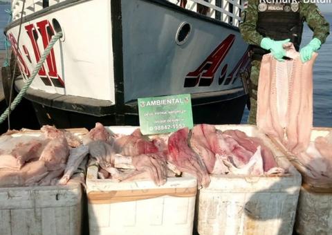 Meia tonelada de pescado ilegal é apreendida em Porto de Manaus