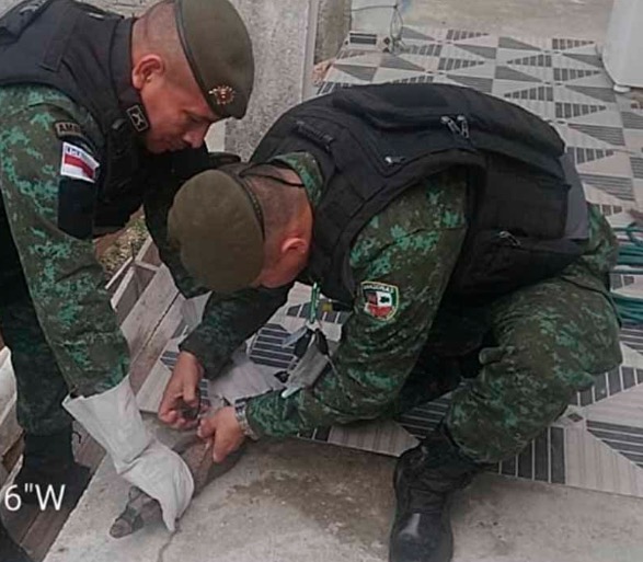 Família leva susto ao encontrar filhote de jacaré dentro de casa em Manaus
