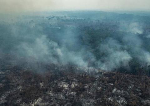 Produtores negam participação em plano de atear fogo a florestas na Amazônia