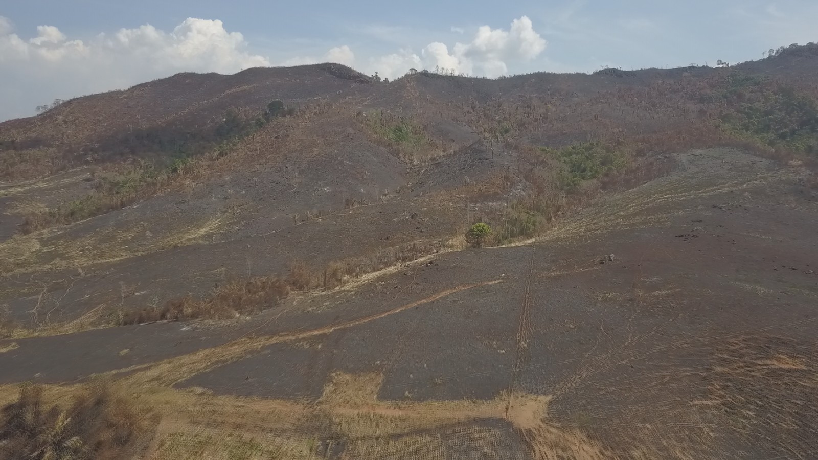 Combate a queimadas em parque nacional já dura 12 dias no Pará