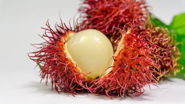 Rambutan previne doenças neurodegenerativas; conheça mais benefícios