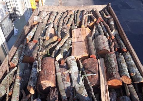 Grupo é preso suspeito de desmatamento no Amazonas