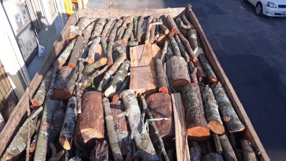 Grupo é preso suspeito de desmatamento no Amazonas