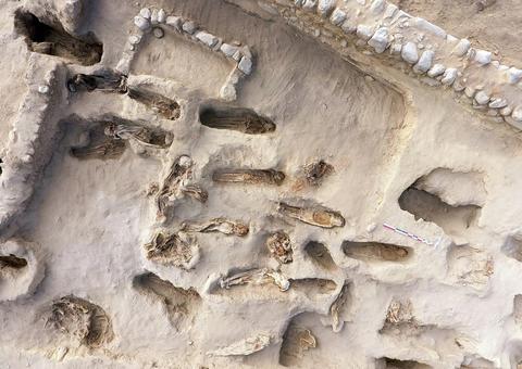 Arqueólogos descobrem restos de 227 crianças sacrificadas no Peru