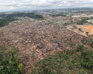 Crime organizado destrói florestas no entorno de Manaus e cria bairros -estado