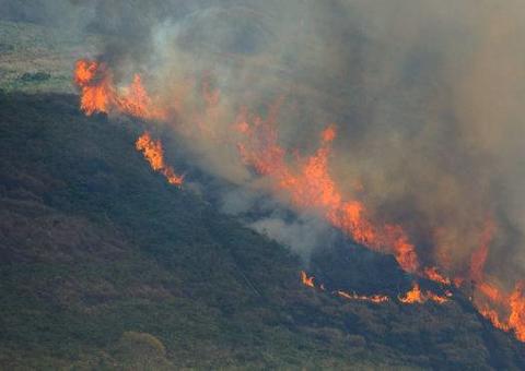 Governo suspende a prática de queimadas em todo o país por 60 dias