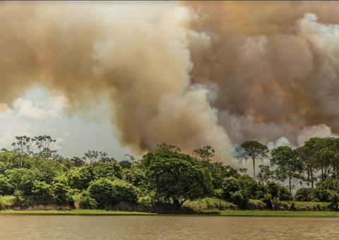 Exposição 'Amazônia: O despertar para um futuro melhor' promove reflexão