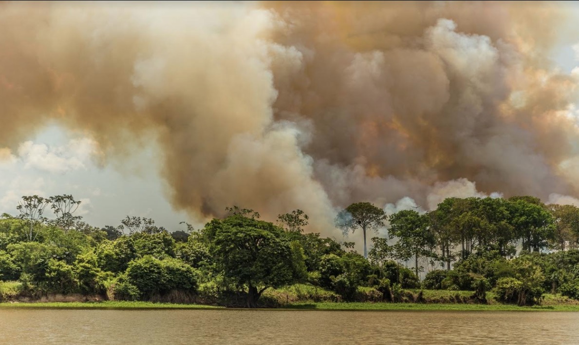 Exposição 'Amazônia: O despertar para um futuro melhor' promove reflexão