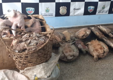 Homens são detidos por vender ilegalmente carnes de animais silvestres no Amazonas