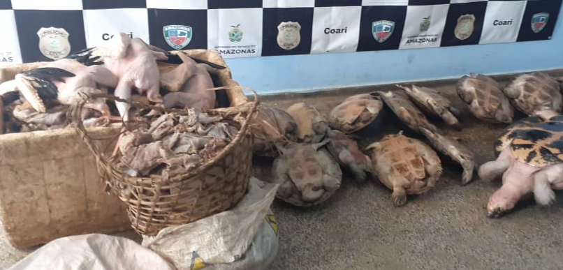 Homens são detidos por vender ilegalmente carnes de animais silvestres no Amazonas