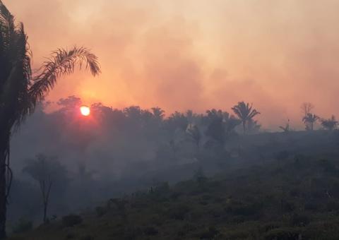 Incêndios já destruíram ao menos 61 mil hectares no Paraguai