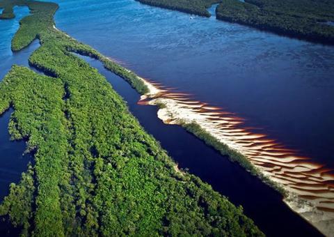 No Dia da Amazônia, cidades divulgam manifesto pela sustentabilidade da floresta