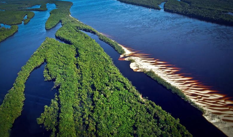 No Dia da Amazônia, cidades divulgam manifesto pela sustentabilidade da floresta