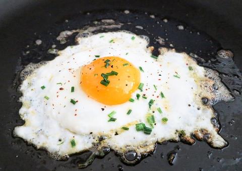 Comer um ovo por dia reduz os riscos de doenças cardiovasculares 
