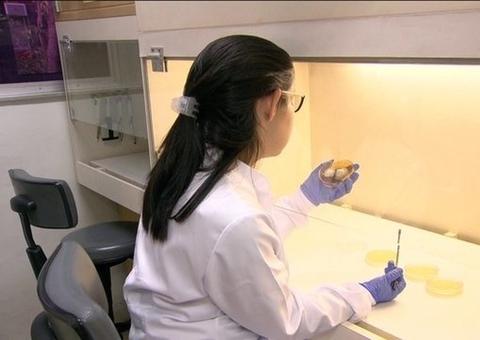 Capes corta 5,6 mil bolsas de pós-graduação a partir deste mês