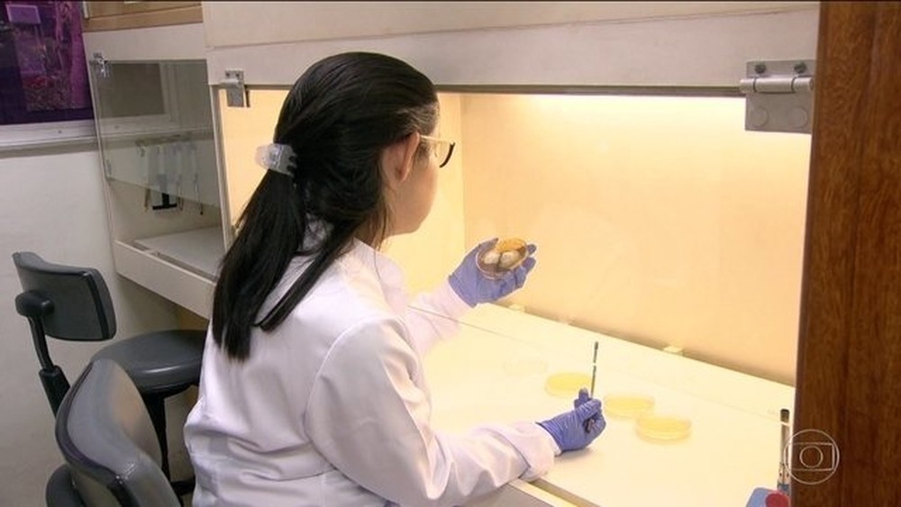 Capes corta 5,6 mil bolsas de pós-graduação a partir deste mês