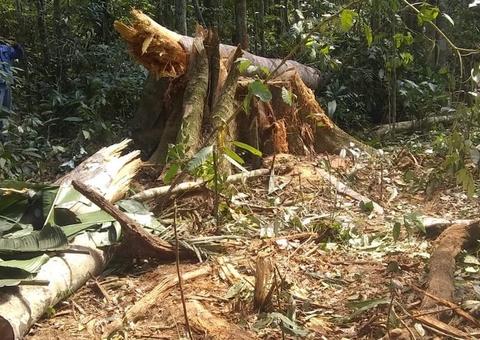 Invasão pacífica de terras públicas deixa de ser delito, entende a Justiça