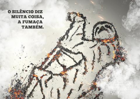 Queimadas urbanas: a poluição que você pode evitar!