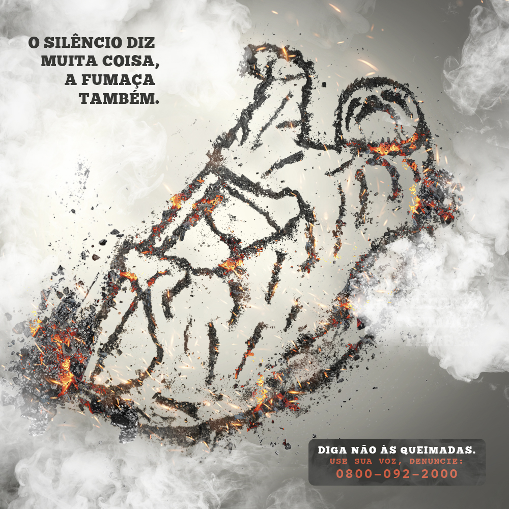 Queimadas urbanas: a poluição que você pode evitar!