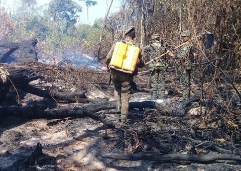 Ações de combate a queimadas no Amazonas são intensificadas no feriado 