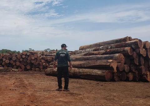 Serraria recebe nova multa de R$ 1,6 milhão por desmatamento no Amazonas 