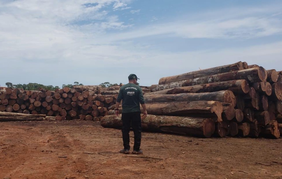 Serraria recebe nova multa de R$ 1,6 milhão por desmatamento no Amazonas 