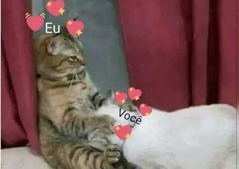 PARA MAIORES DE 18: Memes para mandar para o crush no Dia do Sexo 