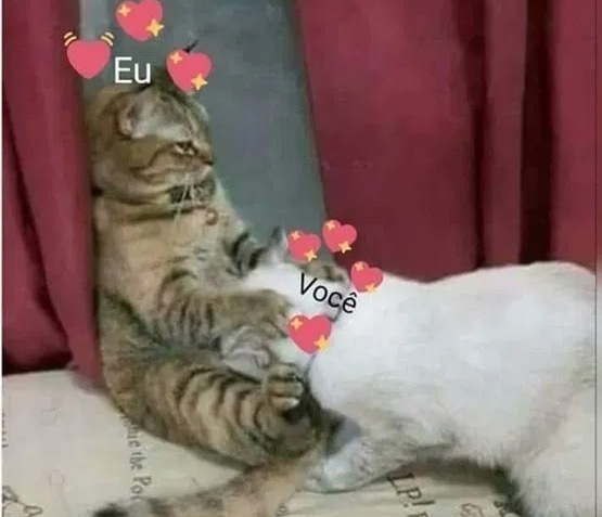 PARA MAIORES DE 18: Memes para mandar para o crush no Dia do Sexo 