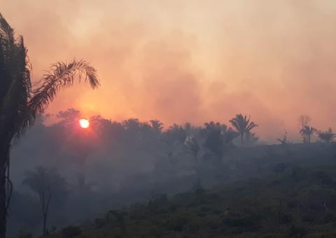  Cidade do Pará acumula em cinco dias 128 focos de queimadas 