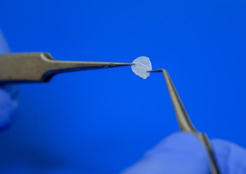 Rio inaugura 1º laboratório que produz pele humana para testes do Brasil