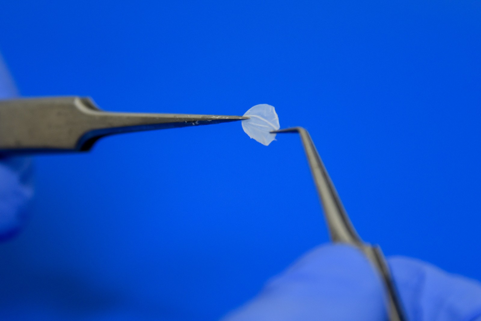 Rio inaugura 1º laboratório que produz pele humana para testes do Brasil