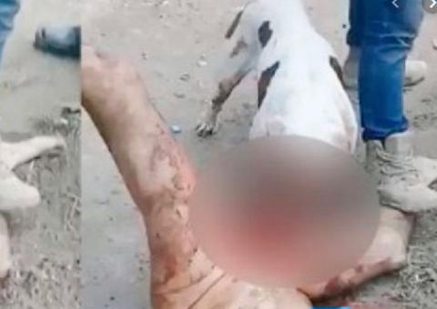 Justiceiros fazem pitbull arrancar pênis de homem acusado de estupro