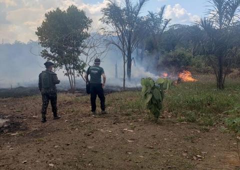 Amazonas cai para 7º no ranking de focos de calor na Amazônia Legal, diz pesquisa