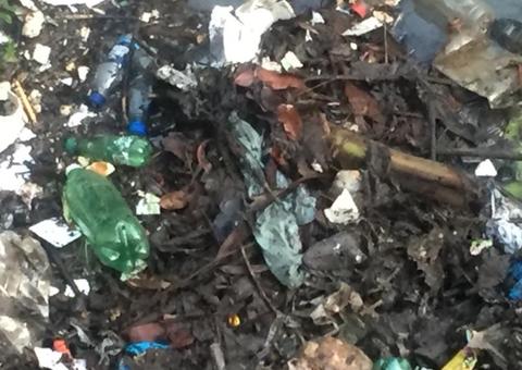 Moradores encontram crânio humano em lixo próximo a igarapé em Manaus