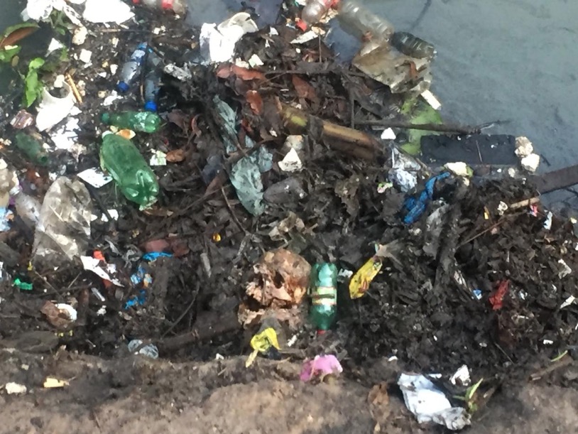 Moradores encontram crânio humano em lixo próximo a igarapé em Manaus