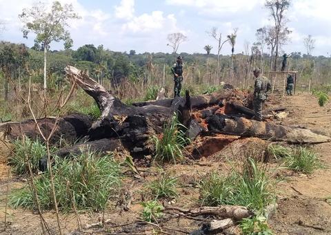 Mais de 1.625 hectares de terra são embargados devido a queimadas no Amazonas 