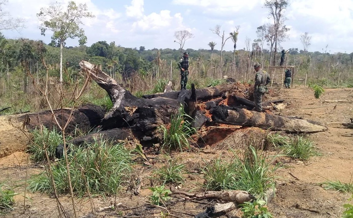 Mais de 1.625 hectares de terra são embargados devido a queimadas no Amazonas 
