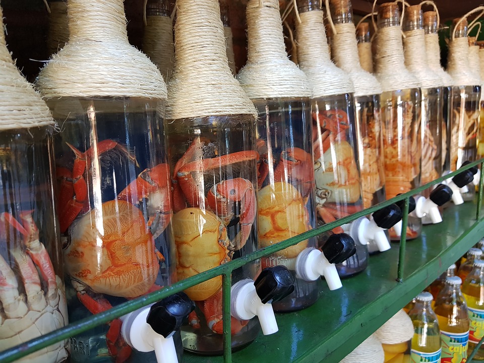 Dia Nacional da cachaça é comemorado nesta sexta-feira 13