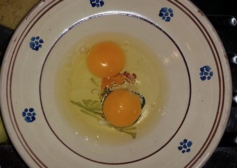 Clara de ovo pode ser benéfica no combate a pressão alta 