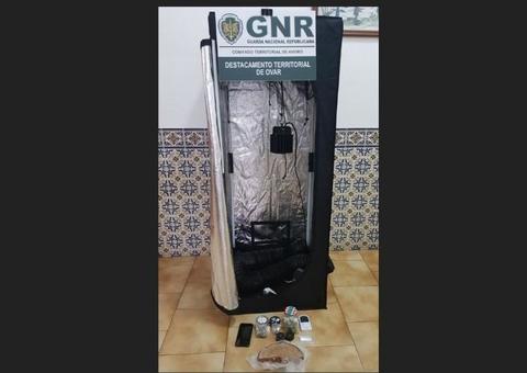 Homem intoxica familiares e criança de quatro anos com bolo de maconha